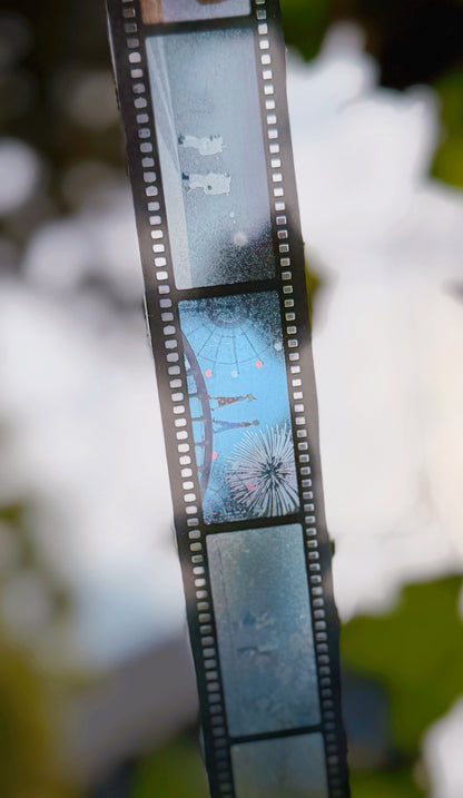 Full-Scene Pet Tape
