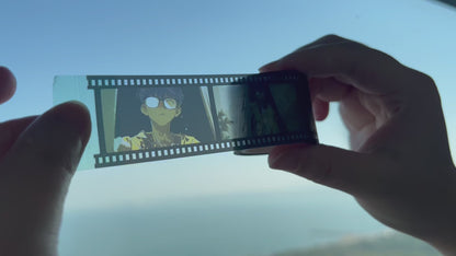 Full-Scene Pet Tape